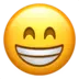 Beaming Face With Smiling Eyes