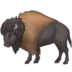 Bison