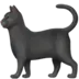 Black Cat