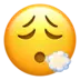 Face exhaling