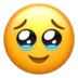 Face Holding Back Tears