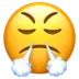 Face With Steam From Nose