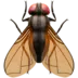 Fly