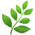 Herb