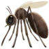 Mosquito