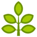 Herb