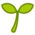 Seedling