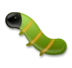Owad