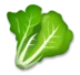 Zielenina