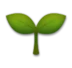 Sadzonka