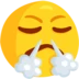 Face With Steam From Nose