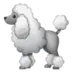 Pudel