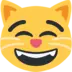Grinning Cat With Smiling Eyes