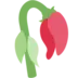 Wilted Flower