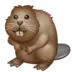 Bäver