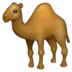 Dromedar