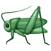 Syrsa