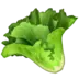 Sallad