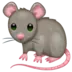Råtta