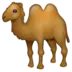 Kamel