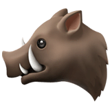 Villisika on Apple
