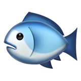 Fisk on Apple