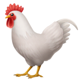 ไก่ตัวผู้ on Apple