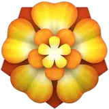 Rozeta on Apple