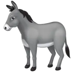 Donkey on Facebook