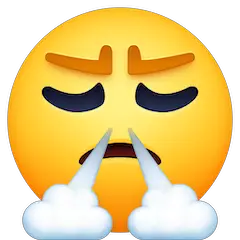 Face With Steam From Nose on Facebook
