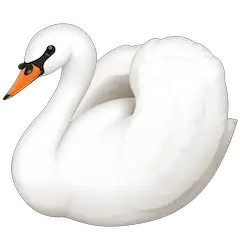 Swan on Facebook