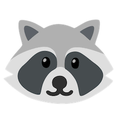 Raccoon on Google