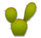 Cactus on LG