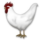 ไก่ตัวผู้ on LG