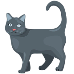 Katt on Messenger