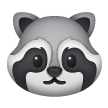 Raccoon on Samsung