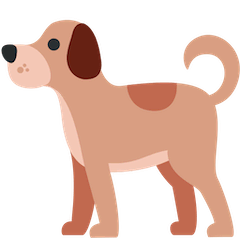 Dog on Twitter
