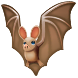 Bat on WhatsApp