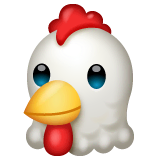 Pollo on WhatsApp