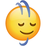 Head Shaking Vertically on WhatsApp