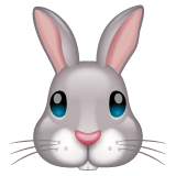 Rabbit Face on WhatsApp